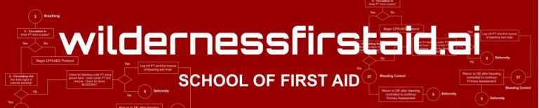 Enhancing Learning and Safety: Artificial Intelligence in Wilderness ...