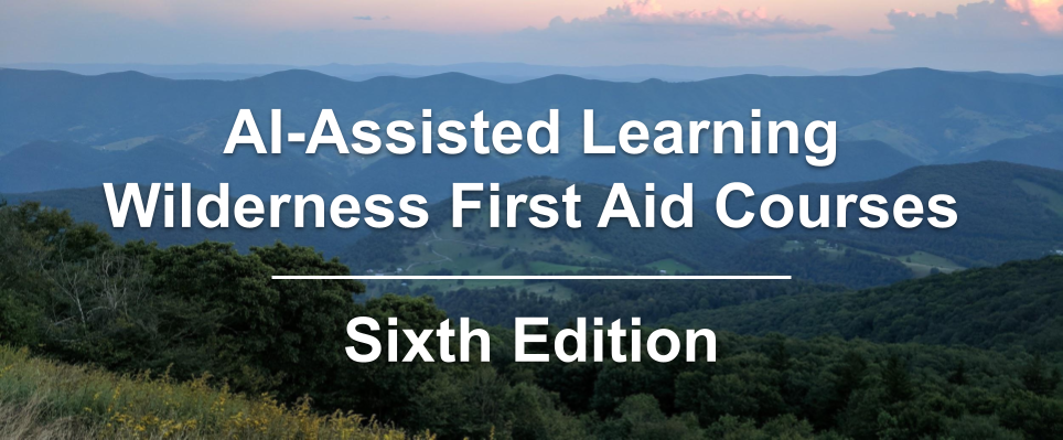 Learn Aid AI-Assisted Learning Wilderness First Aid Courses - School of First Aid